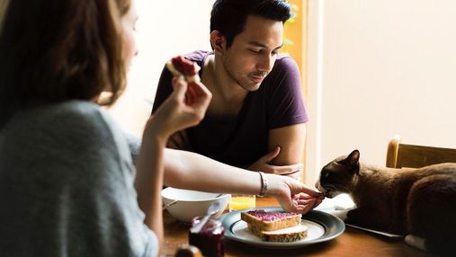 Стоит ли заставлять себя завтракать и еще 6 важных вопросов о завтраке