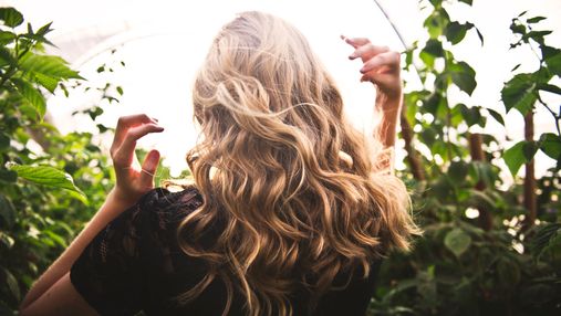 Проти випадіння волосся та лупи: 4 унікальні властивості розмарину 