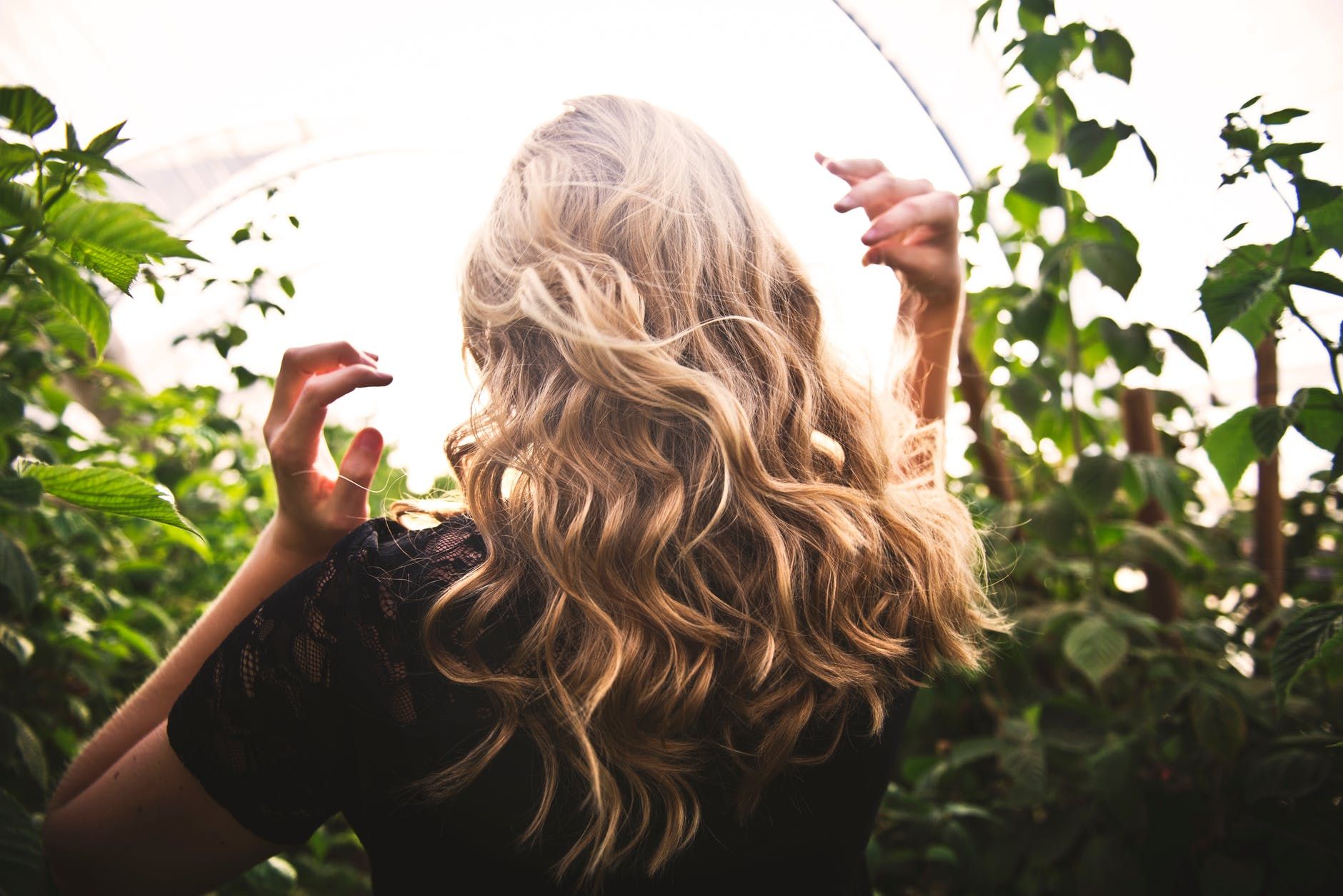 Против выпадения волос и перхоти: 4 уникальные свойства розмарина