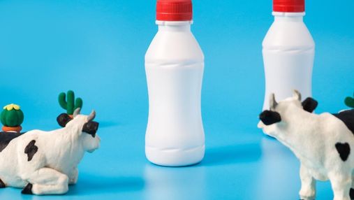 Чи варто відмовлятись: користь та шкода молочних продуктів