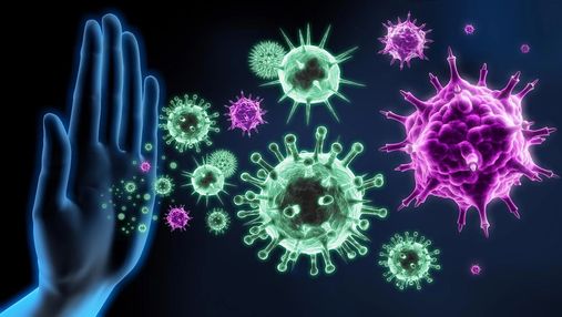 Як працює імунна система: детальний гід вашим організмом