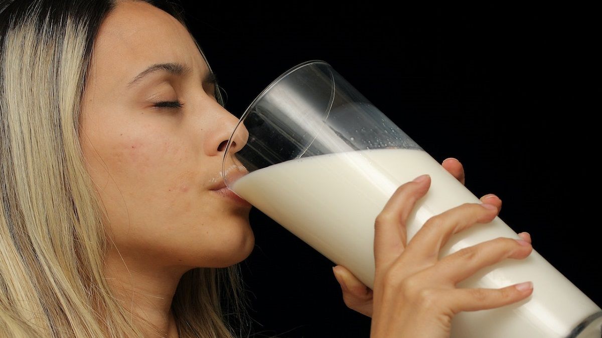 Почему молоко следует включить в рацион