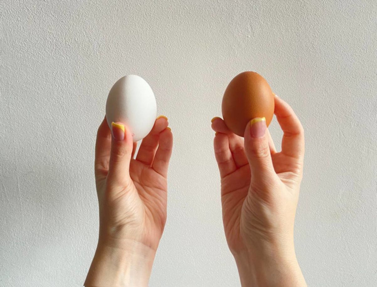 Есть ли разница между белыми и красными яйцами