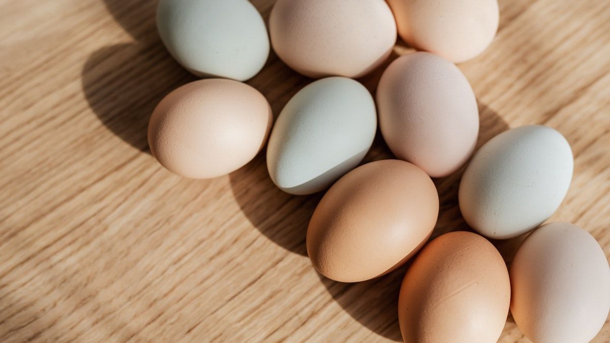 Користь яєчних білків