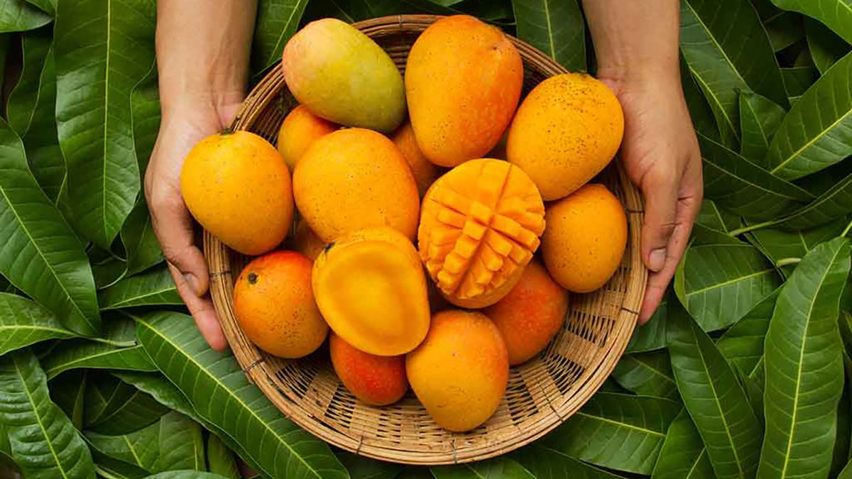 Как манго может навредить человеку