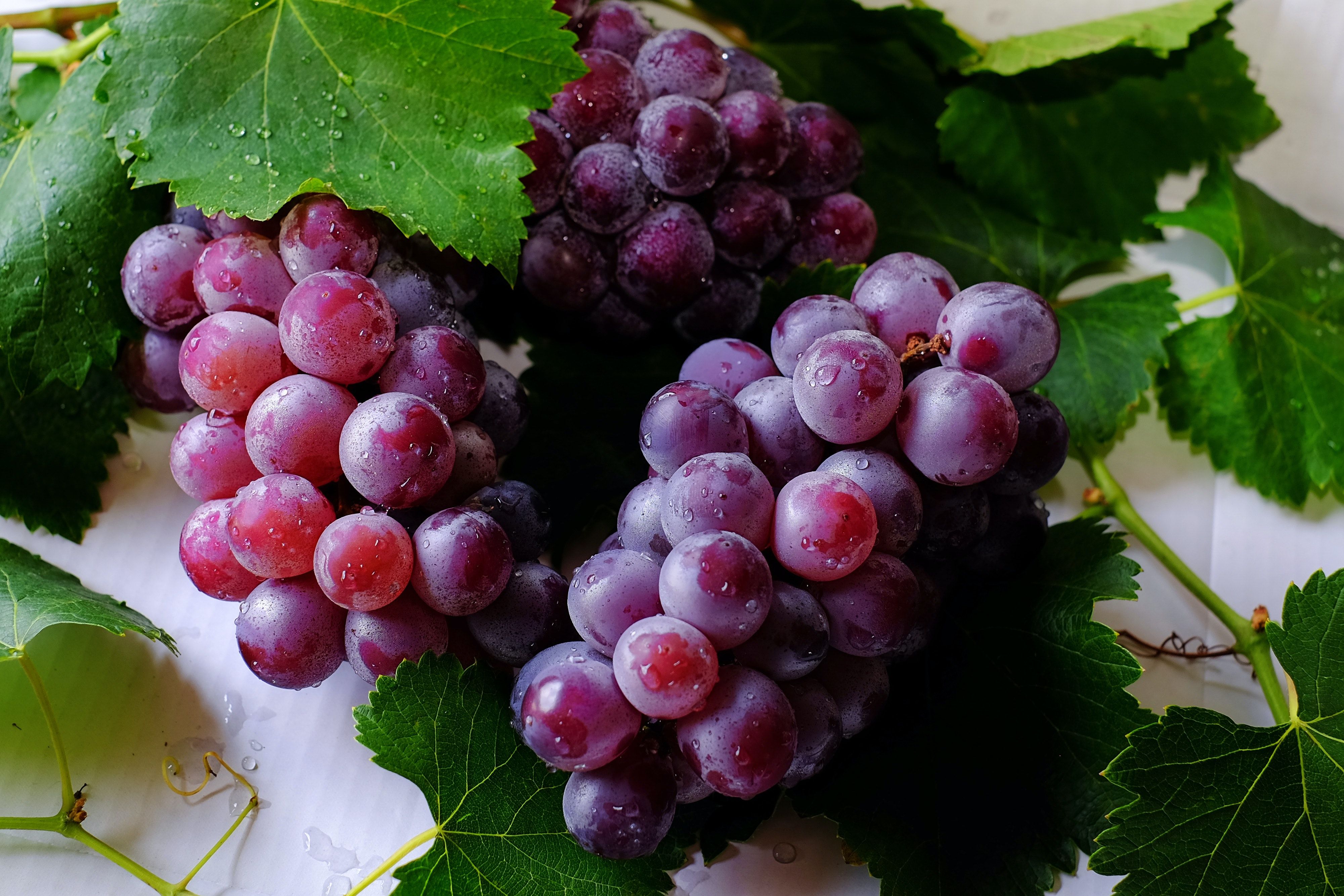 Виноград надзвичайно корисний для здоров'я