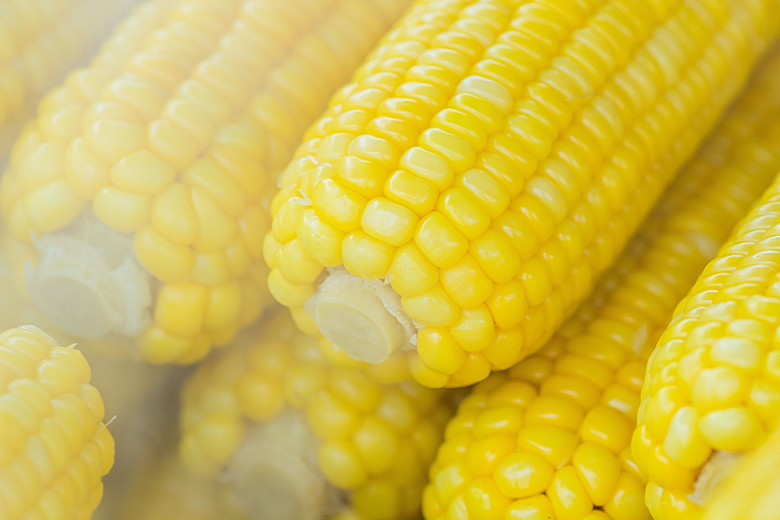 Кукурудза у великих кількостях може нашкодити