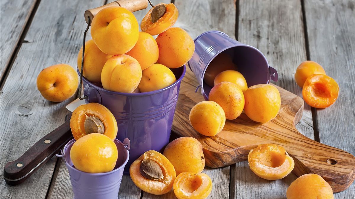 Польза абрикосов для человека