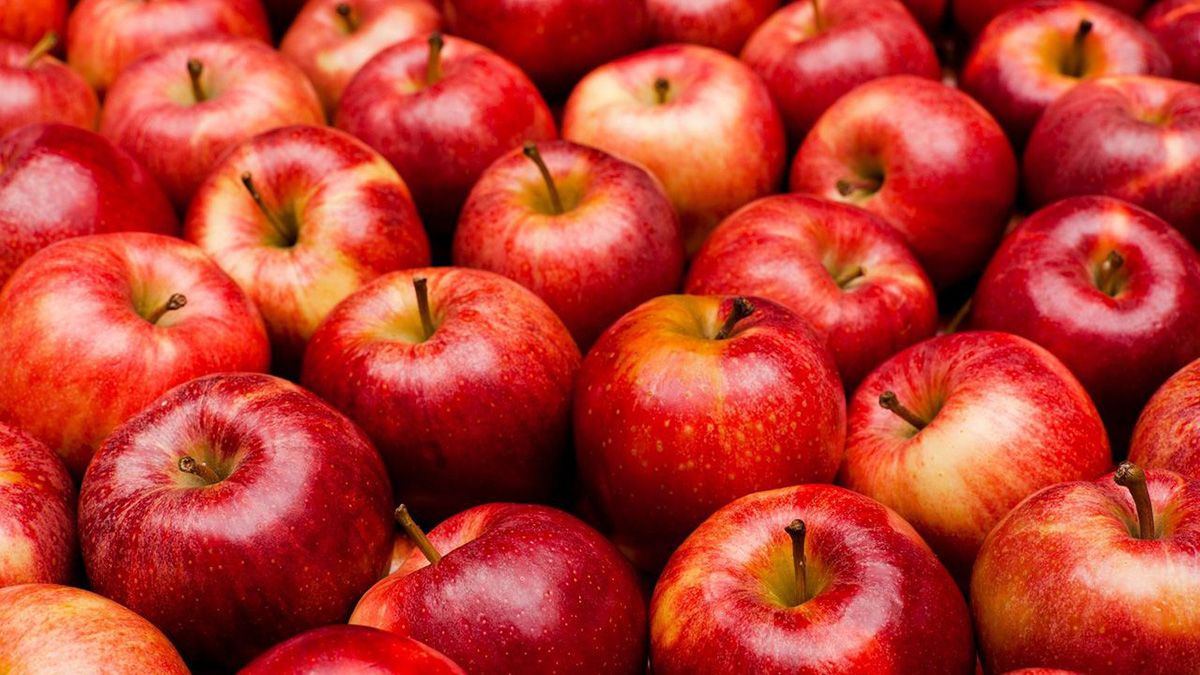 Ешьте яблоки каждый день