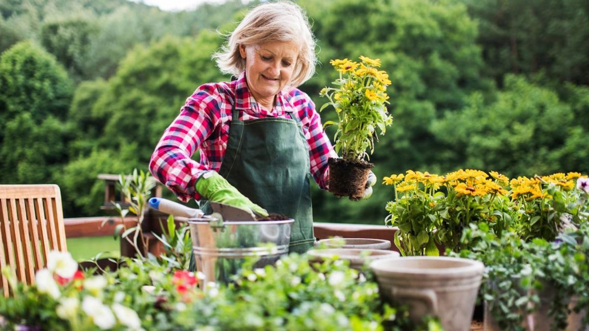 Садоводство положительно влияет на здоровье
