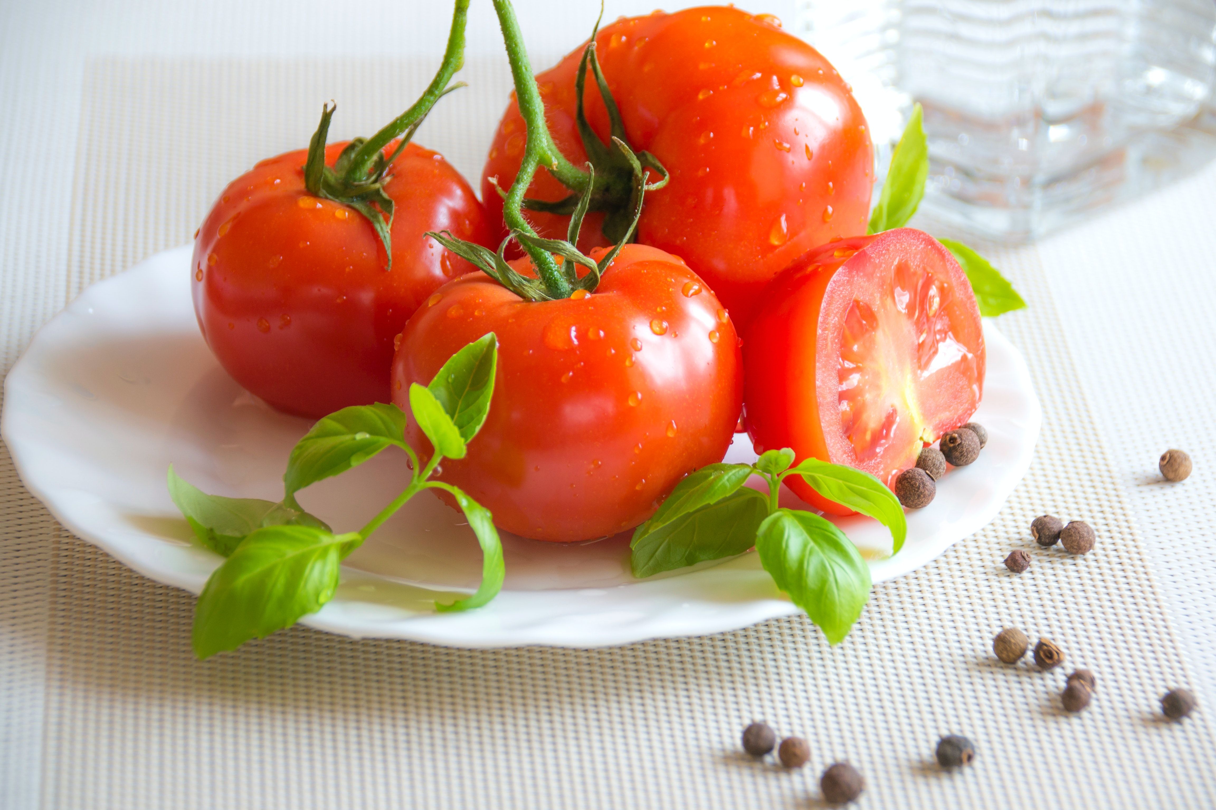 Tomatoes транскрипция. Красивые помидоры. Помидоры на тарелке. Сочный томат. Помидоры свежие.