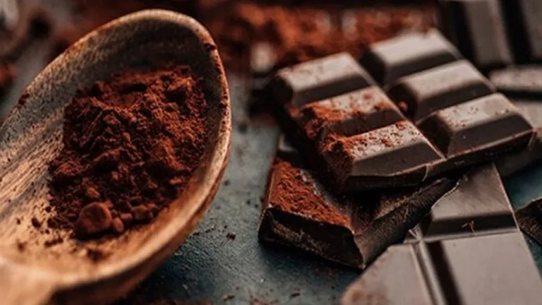 Шоколад містить багато корисних властивостей